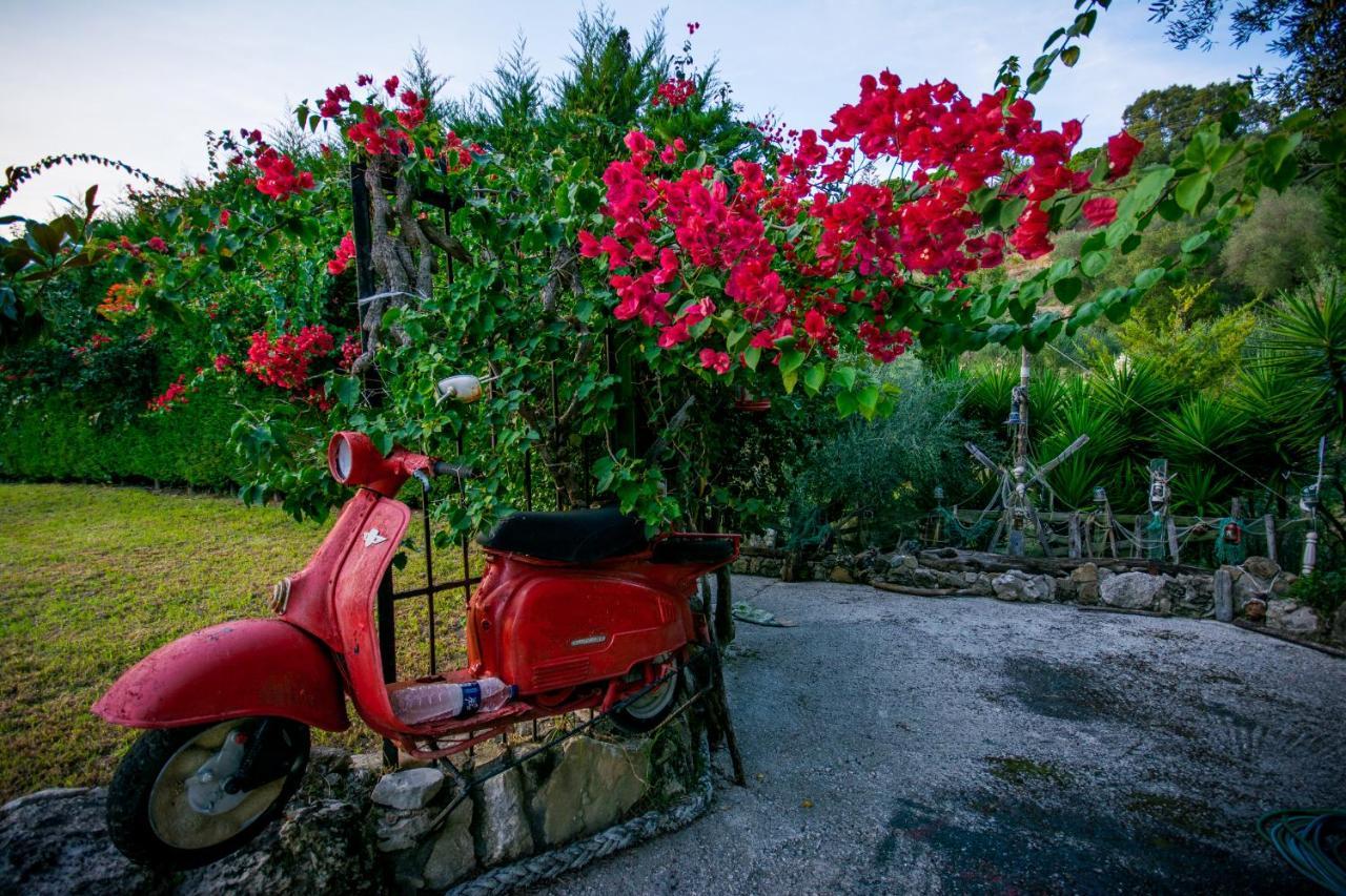 Tatiana Luxury Apartment With Private Pool By Gigi Star Zakynthos Exterior foto